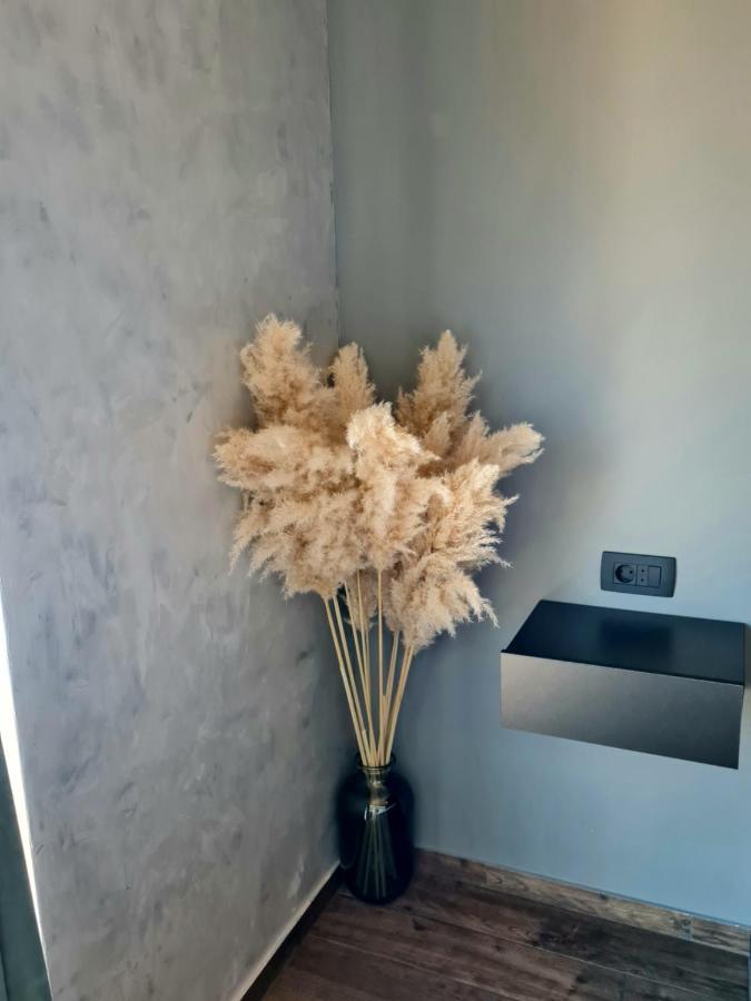 Modern Studio With A Beautiful View Rab Town Luaran gambar